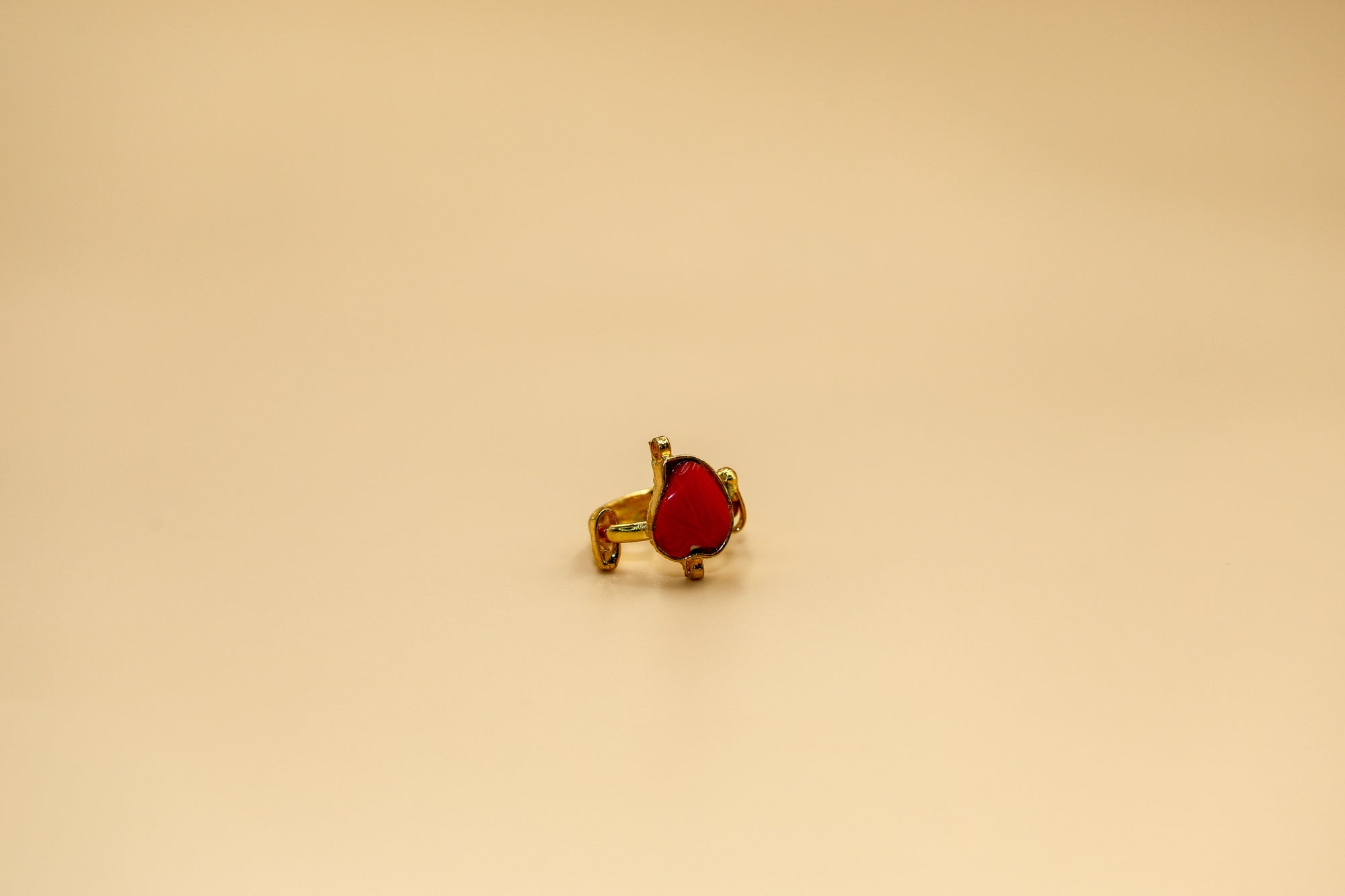 Eliana Ring