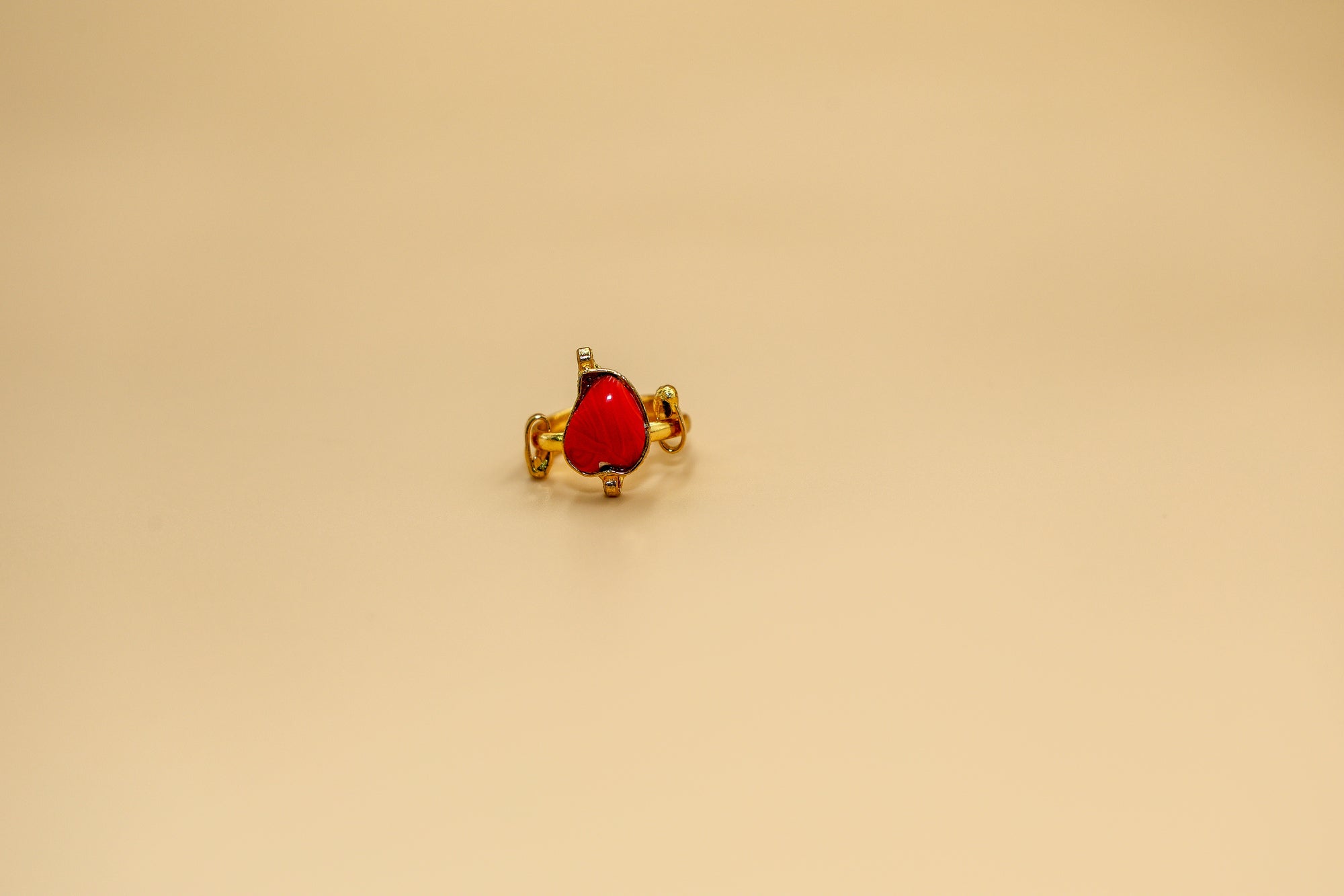 Eliana Ring