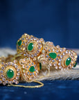 Aarzoo Bangles Pair