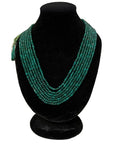 Zinnia Mala