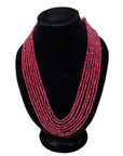Zinnia Mala